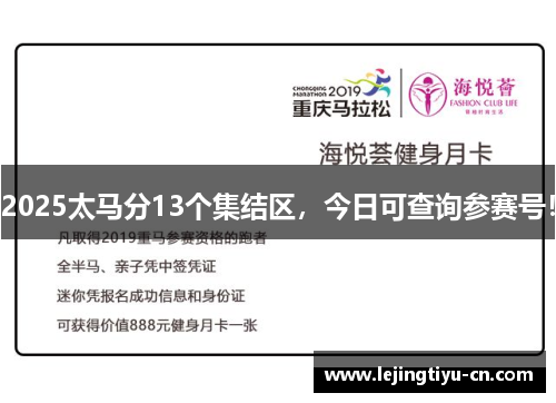 2025太马分13个集结区，今日可查询参赛号！